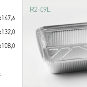 R2-09L (2)